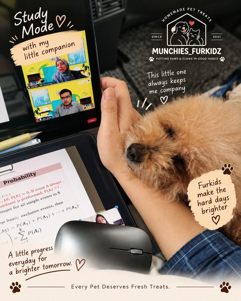 Munchies Furkidz relaunch — photo 2